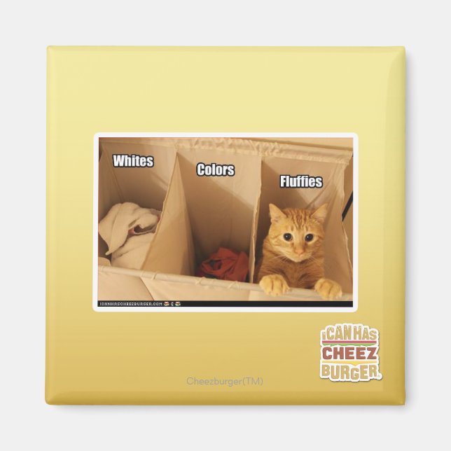 Aimant Chat de blanchisserie (Devant)