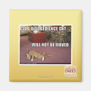 Aimant Chat de désobéissance civile