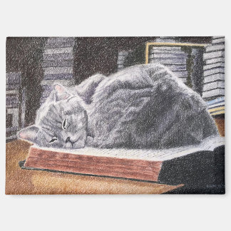 Aimant Chat de librairie