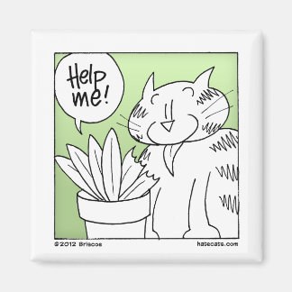 Aimant Chat de mangeur plante