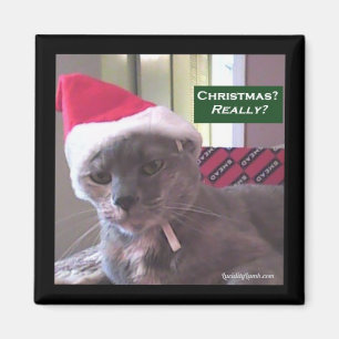 Aimant Chat de Noël