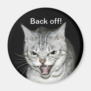 Aimant Chat de sifflement