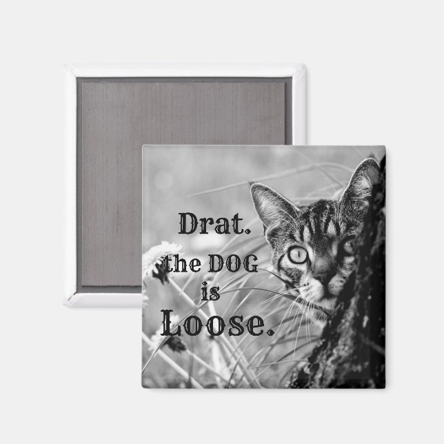 Aimant Chat Derrière l'arbre, Drat, le chien est perdu. M (Recto/Verso)
