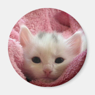 Aimant Chat doux