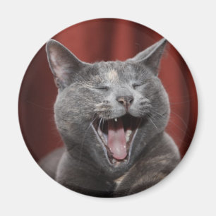 Aimant Chat drôle