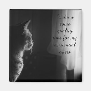 Aimant Chat drôle ayant une crise existentielle