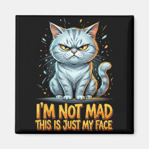 Aimant Chat Drôle Je Ne Suis Pas En Colère C'est Juste Mo