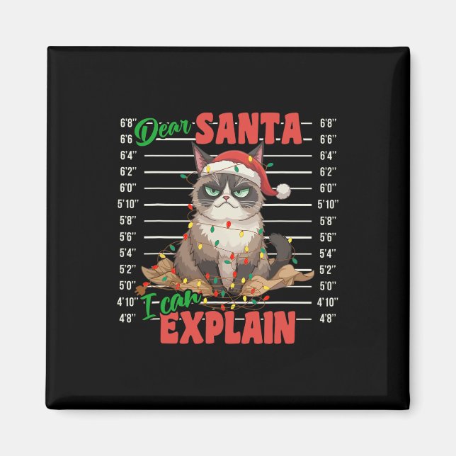 Aimant Chat Drôle Mugshot Cher Père Noël Je Peux Explique (Devant)