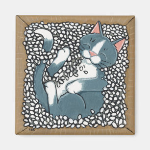 Aimant Chat gris de smoking dormant dans la boîte