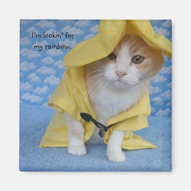 Aimant Chat/Kitty en nacelle jaune (Devant)
