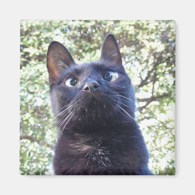 Aimant Chat Kitty noir (Devant)