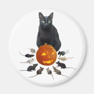 Aimant Chat noir, rats et Jack-o'-lantern