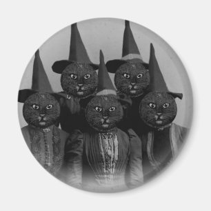 Aimant Chat noir vintage/sorcières