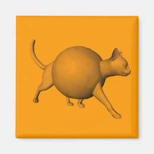 Aimant Chat orange amusant