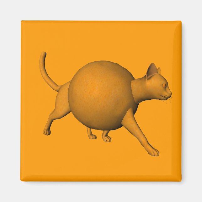 Aimant Chat orange amusant (Devant)