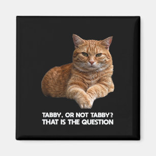 Aimant Chat orange mignon