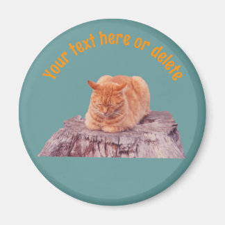 Aimant Chat orange tabby endormi personnalisé