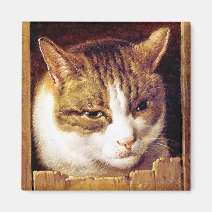 Aimant : "Chat piaulant par une barrière "