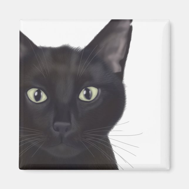 Aimant Chat, Portrait de Gus (Devant)