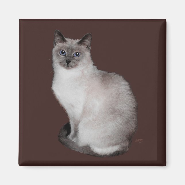Aimant Chat siamois aux yeux bleus (Devant)