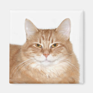 Aimant Chat souriant