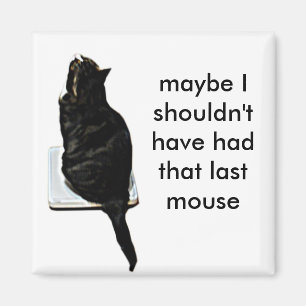 Aimant Chat sur des échelles