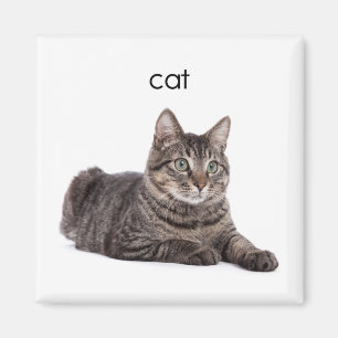 Aimant Chat tigré