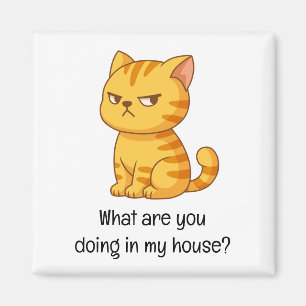 Aimant Chat tigré orange grincheux texte drôle