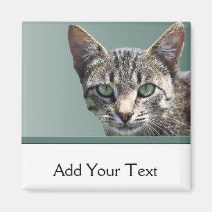 Aimant Chat tigré rayé avec les yeux verts