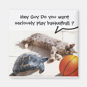 AIMANT CHAT, TORTUE ET BASKETBALL