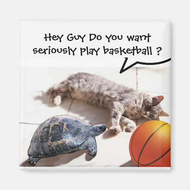 AIMANT CHAT, TORTUE ET BASKETBALL (Devant)