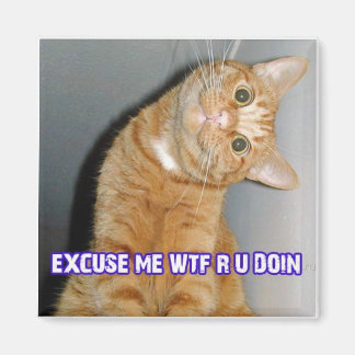 Aimant chat wtf
