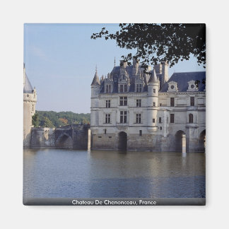 Aimant Château De Chenonceau, France