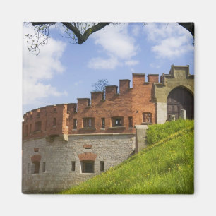 Aimant Château de Wawel, Cracovie, Pologne