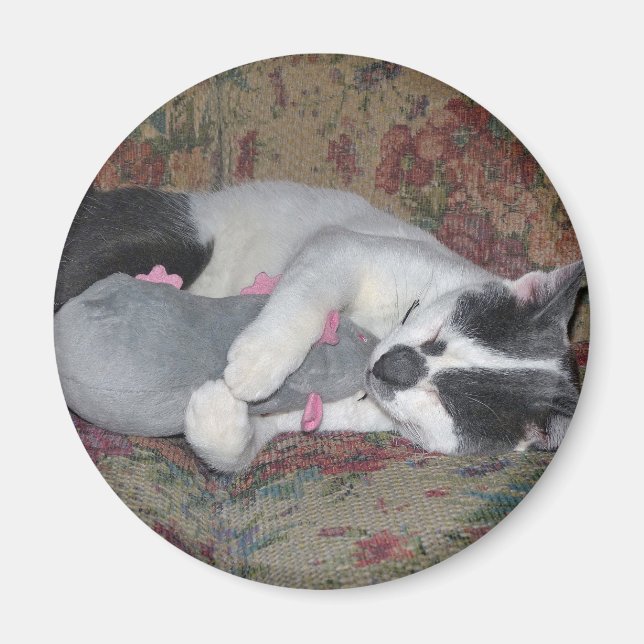 Aimant Chaton couchant (Devant)