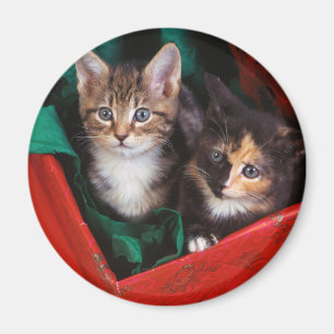 Aimant Chatons de Noël