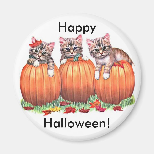 Aimant Chatons en Citrouille pour Bouton d'Halloween (Devant)