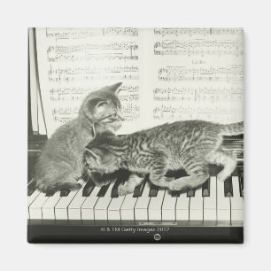 Aimant Chatons jouant le piano