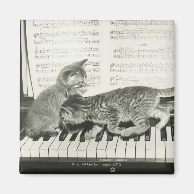 Aimant Chatons Jouer au piano (Devant)