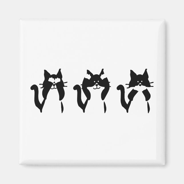 Aimant Chats blancs noirs | Trois chatons (Devant)
