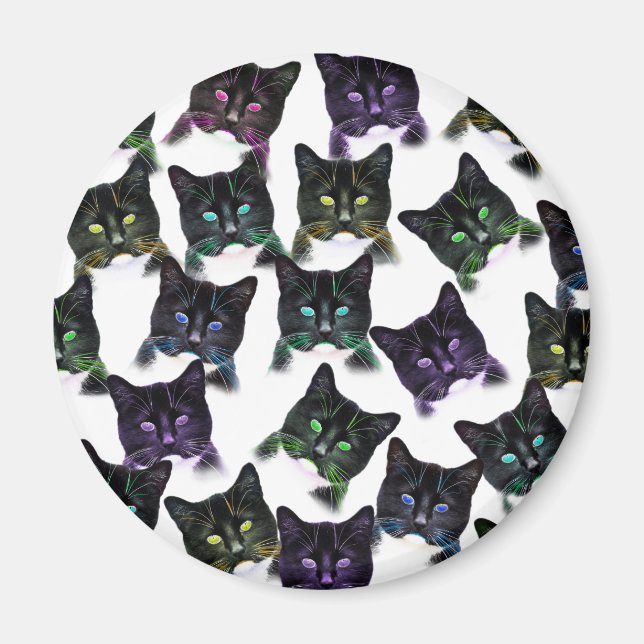 Aimant Chats cool (Devant)