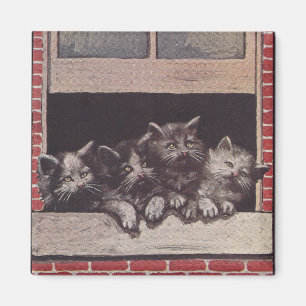 Aimant Chats dans le cru de fenêtre