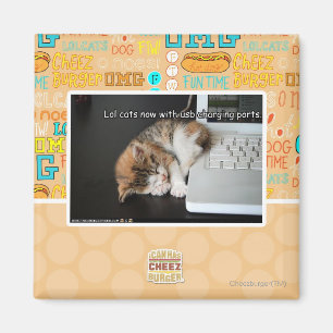 Aimant Chats de Lol avec USB