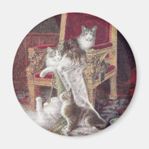 Aimant Chats jouant sur le cru rouge de chaise de velours