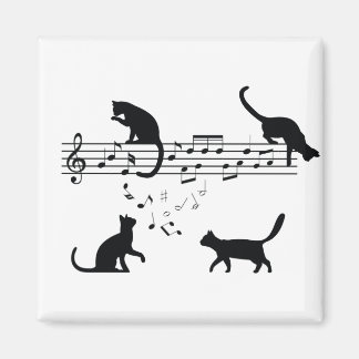 Aimant Chats Lecture de notes musicales