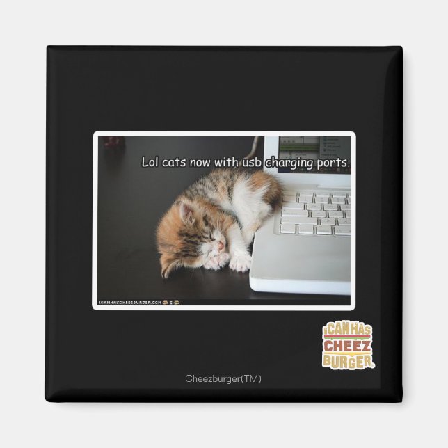 Aimant Chats Lol avec USB (Devant)