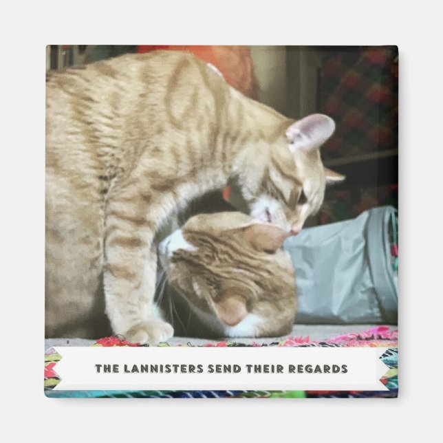 Aimant Chats orange (Devant)