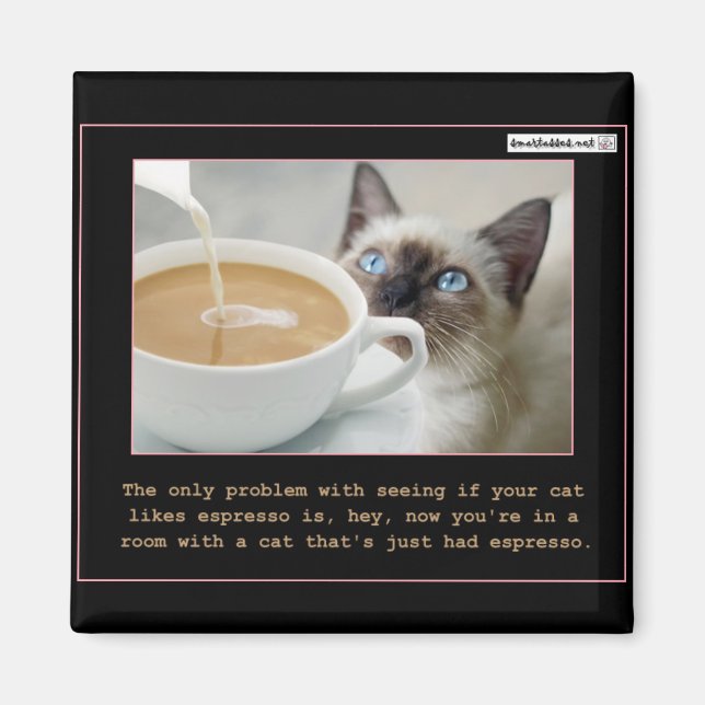 Aimant Chats Sur Espresso (Devant)