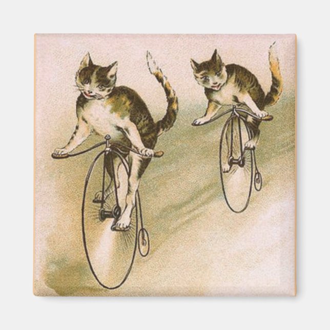 Aimant Chats vintages à vélo (Devant)