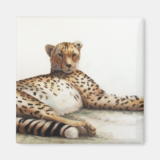 Aimant Cheetah (Devant)